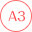 A3